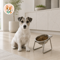 ORTHOPETS - Gamelle orthopédique surélevée pour chien
